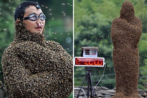 Chinese Beekeeper She Ping Sets World Record For Heaviest Insect Coat