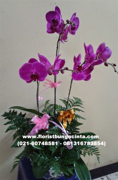 Rusty Florist Jakarta Online Flower Shop Rangkaian Bunga Anggrek