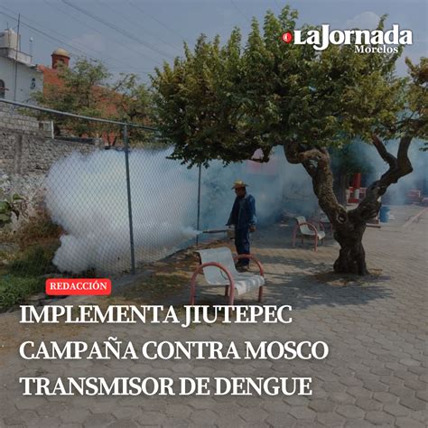 IMPLEMENTA JIUTEPEC CAMPAÑA CONTRA MOSCO TRANSMISOR DE DENGUE LA