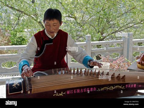 Woman Playing Guzheng Or Zheng Or Also Known As Lap Harp Shiguzhen