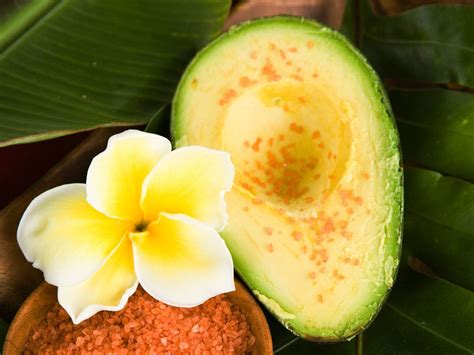 Hawaii Ramps Up Avocado Shipments To Mainland Us Avocado Wine