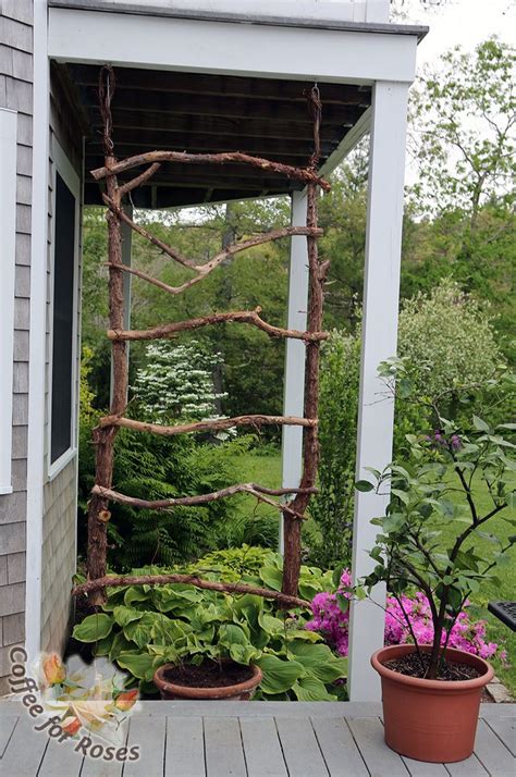The Trellis Has Been Hung I Used The Grapevine Garland To Hide The