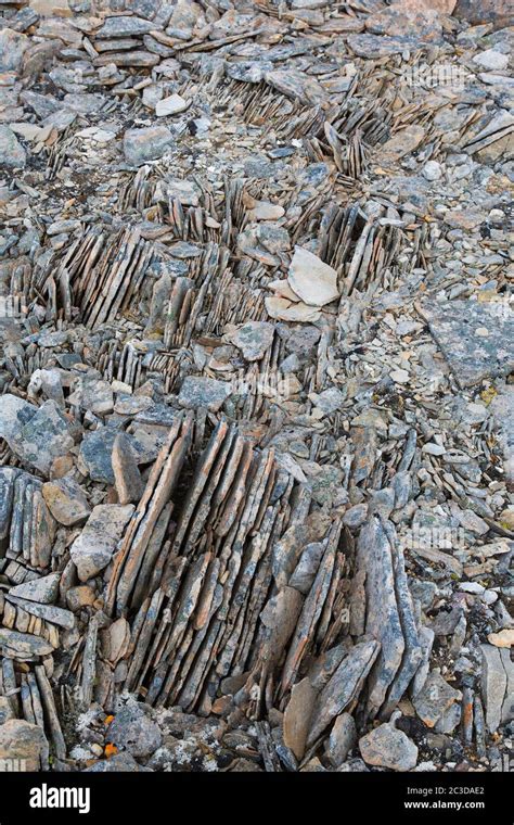 Close Up Of Shattered Sedimentary Rock Slate Shale Fractured Along