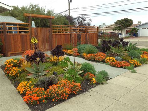 Farallon Gardens Alameda Drought Tolerant Garden February Blooms