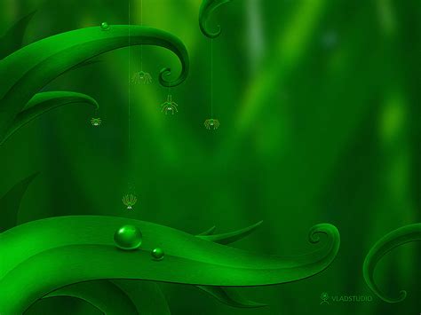 Free Download Green Bubbles Wallpapers Hd Wallpapers 1920x1200 For
