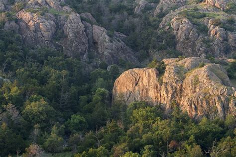 Free Images Tree Forest Wilderness Hill Valley Mountain Range