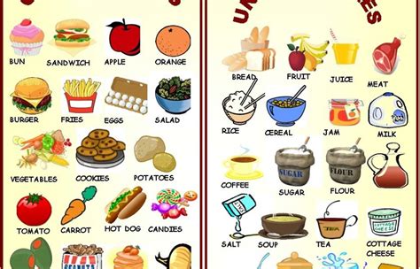 Countable And Uncountable Food Nouns List Images And Photos Finder