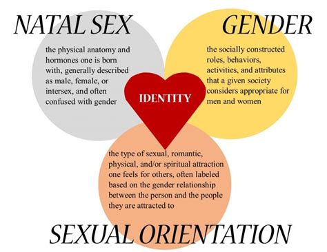Bokep Lancap What Difference Between Sexuality And Dan Melancap