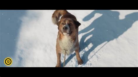 A(z) a vadon hivo szava című videót nyc boy nevű felhasználó töltötte fel a(z) film/animáció kategóriába. A Vadon Hivo Szava Videa / A Vadon Hivo Szava The Call Of ...