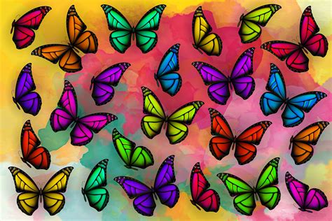 Set Of Colorful Butterflies Clipart 110845