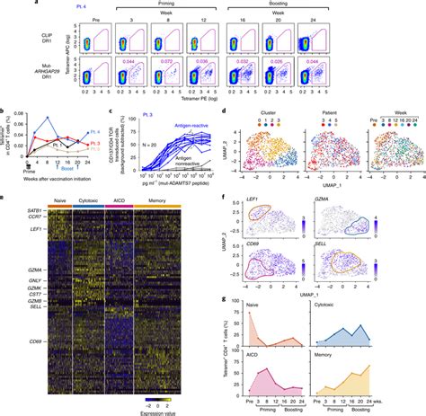 Transcriptional Profile Of Neoantigen Specific T Cells Over The Course