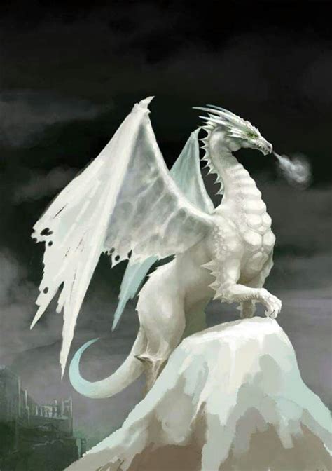 White Dragon Fantasy Dragon Snow Dragon Dragon Artwork