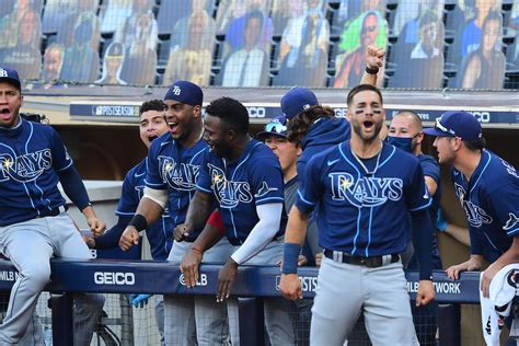 17 Facts About Tampa Bay Rays Facts Net