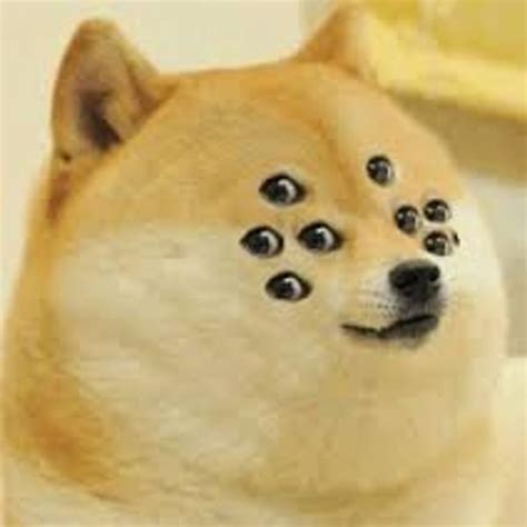 Image 581411 Doge Know Your Meme