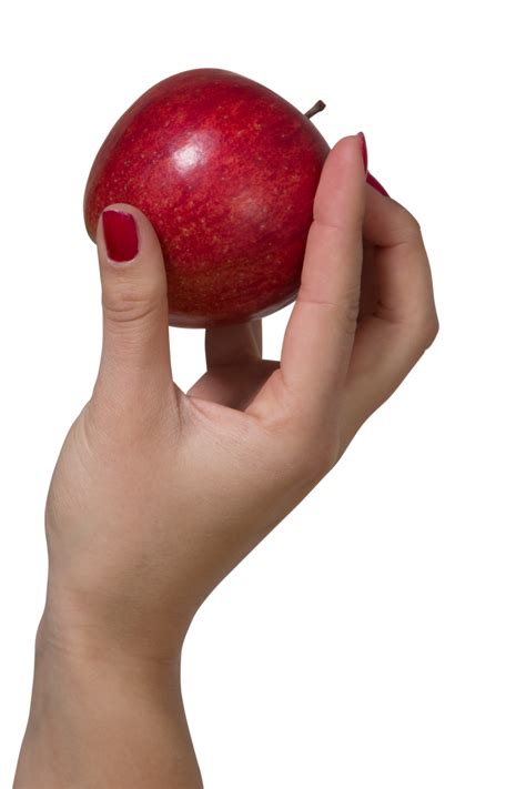 Apple In Hand Png Image Purepng Free Transparent Cc0
