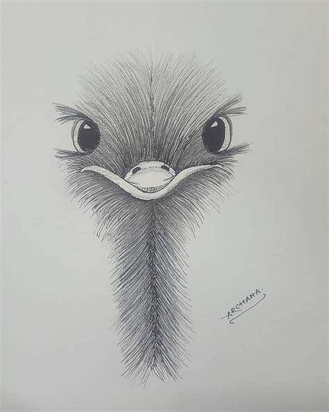 85 Simple And Easy Pencil Drawings Of Animals For Every Beginner 0e4