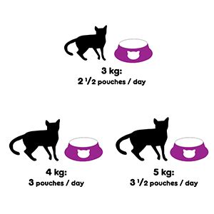 The amount to feed your cat depends on her age, size and activity level. Buy Whiskas Adult (+1 year) Wet Cat Food, Salmon in Gravy ...