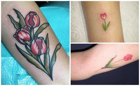 Tatuajes De Tulipanes Significados Diseños E Imágenes Que Te Inspirarán