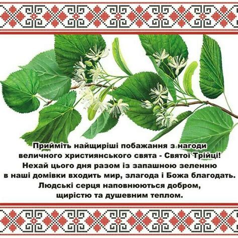 Поздравить друга в одноклассниках или viber. Pin by ГАЛИНА on ангел | Plant leaves, Birthday cards, Wish