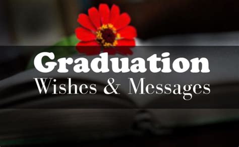 180 Graduation Wishes Congratulations Messages And Quotes Sweet