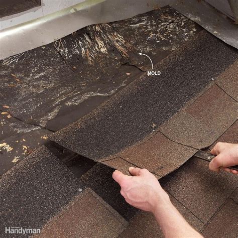 To fix your leaky roof, look for the attic of your house and enter inside. How To Stop Water Leakage From Concrete Ceiling | Shelly ...