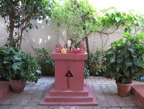 Vedas Beyond Science Why Hindu Should Have A Tulsi Plant In Their House