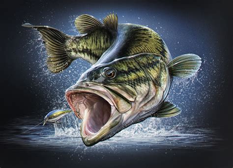 Largemouth Bass Illustration4b Joel Jensen Art