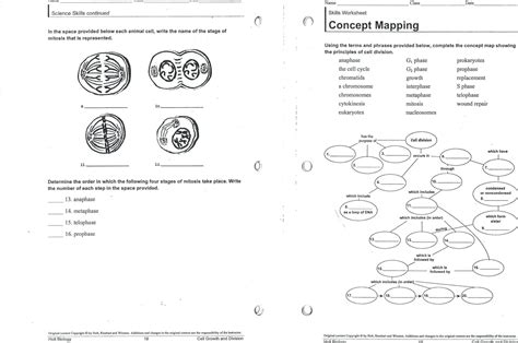 Apr 28 2006 11 4 meiosis and study workbook answers download on gobookee. Skills Worksheet Concept Mapping Answers Holt Biology