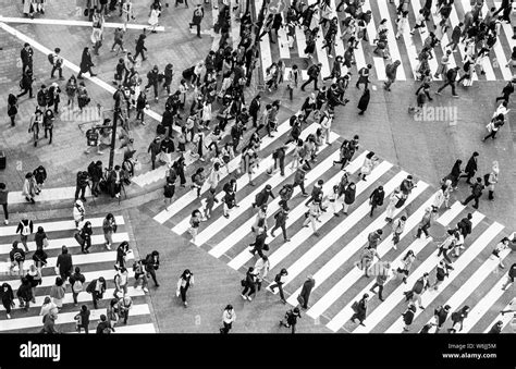 Shibuya Crossing Crowds At Intersection Many People Cross Zebra
