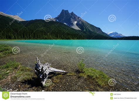 Emerald Lake In Yoho National Park Stock Photo Image Of Canada