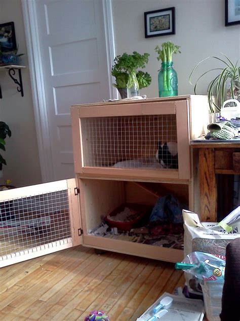 Build An Indoor Rabbit Cage Indoor Rabbit Cage Indoor Rabbit Diy