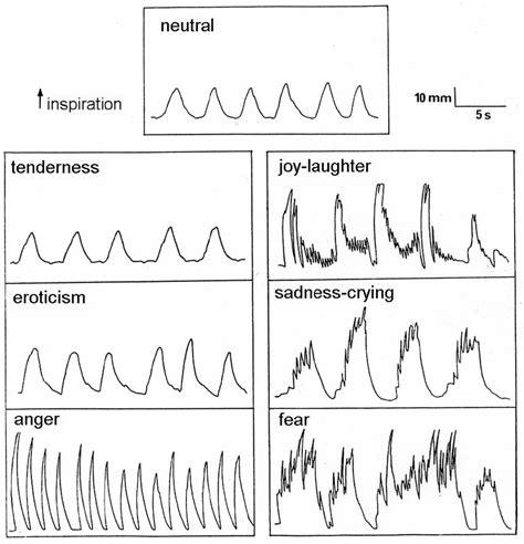 Recordings Of Prototypical Breathing Patterns For Each Basic Emotion