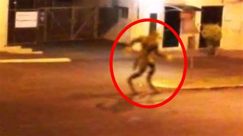 5 Cryptids Caught On Camera Spotted In Real Life Bigfoot Photos Creepy