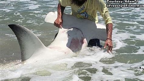 Big Catch Fisherman Lands 12 Foot Shark Along Texas Gulf Coast Abc13