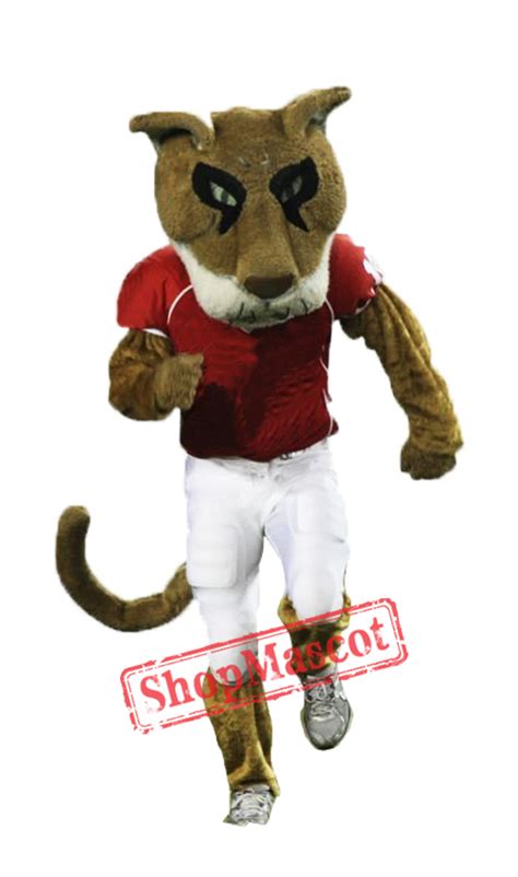 College mascot is at fansedge. College Cougar Mascot Costume