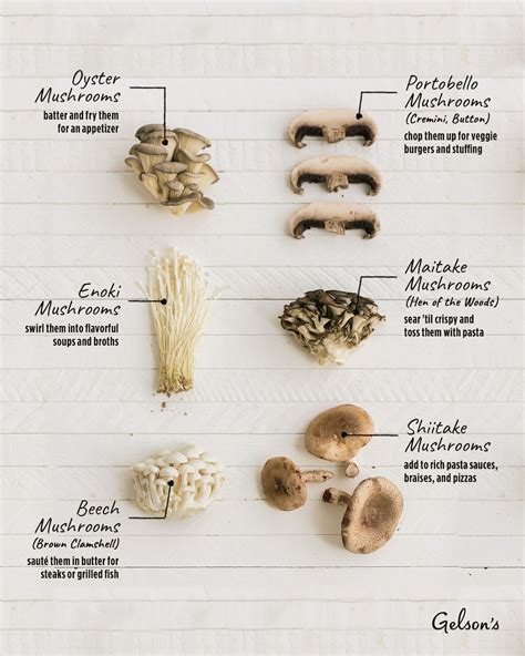 Home Cooks Guide To Mushrooms Stuffed Mushrooms Cooking Ingredients