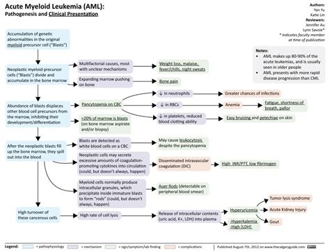 Acute Myeloid Leukemia Calgary Guide