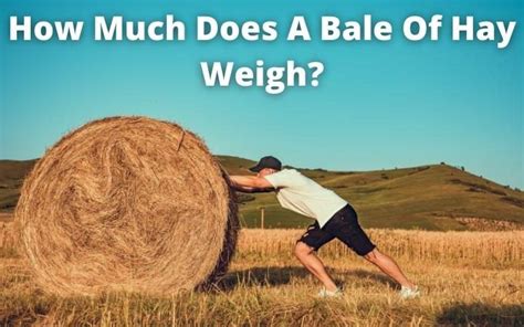 How Much Does A Bale Of Hay Weigh Weight Of Stuff