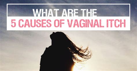 Causes Of Vaginal Itch Women S Health Clinic