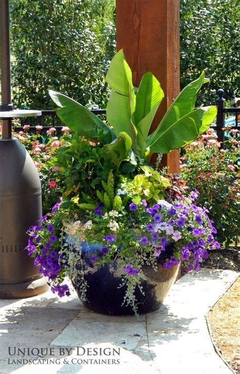30 Stunning Container Plant Garden Ideas For Patio Plants Container