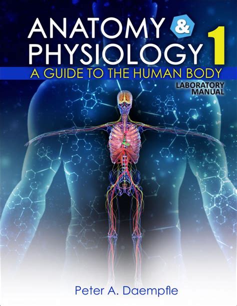 Anatomy And Physiology I Laboratory Manual A Guide To The Human Body