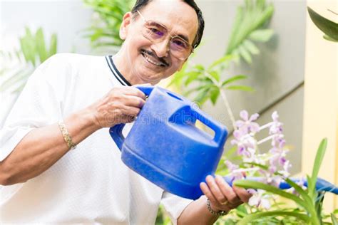 Senior Man Watering The Plant Stock Photo Image Of Aged Freshness