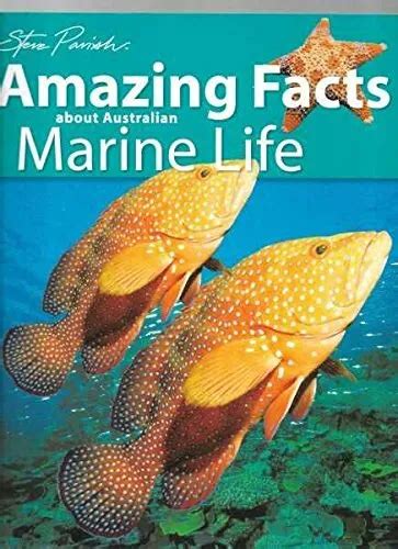 Amazing Facts About Australian Marine Life Steve Parish Discov By