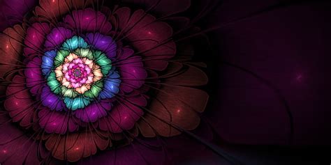 Hd Wallpaper Fractal Apophysis Digital Art 3d Abstract Flowers