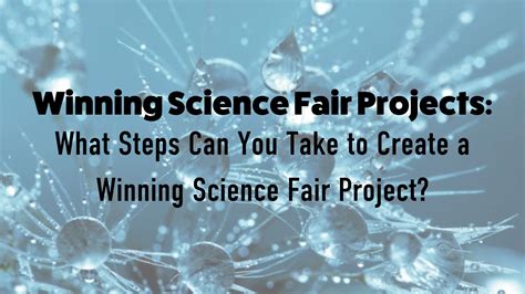 Winning Science Fair Projects What Steps Can You Take To Create A