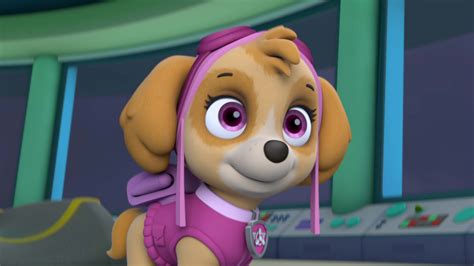 Watch Paw Patrol Season Episode Paw Patrol Pups Save A High Flying Skye Pups Go For The