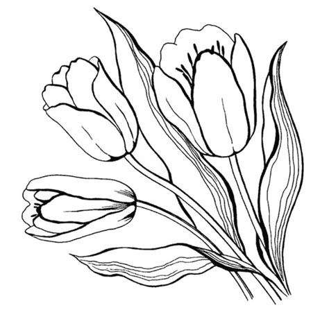Primavara desene de colorat 15. Desene cu Flori de Primavara de colorat, imagini și planșe de colorat cu flori de primavara