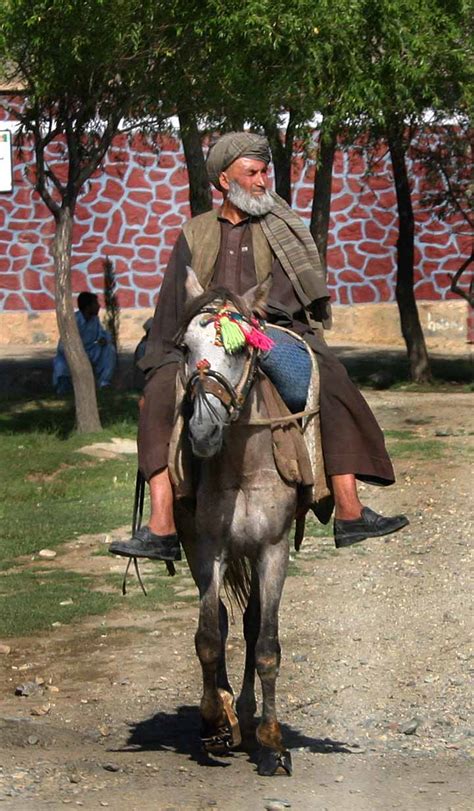 Feb 07, 2021 · man detained in afghanistan for carrying explosives in musical instrument 21:17, 02.07.2021. File:Man on horse, Afghanistan.jpg - Wikimedia Commons