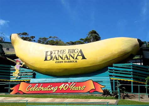 The Worlds Biggest Banana Australia Qqriq