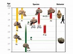 Human Origins Timeline: Hominen evolution | Smithsonian Institution